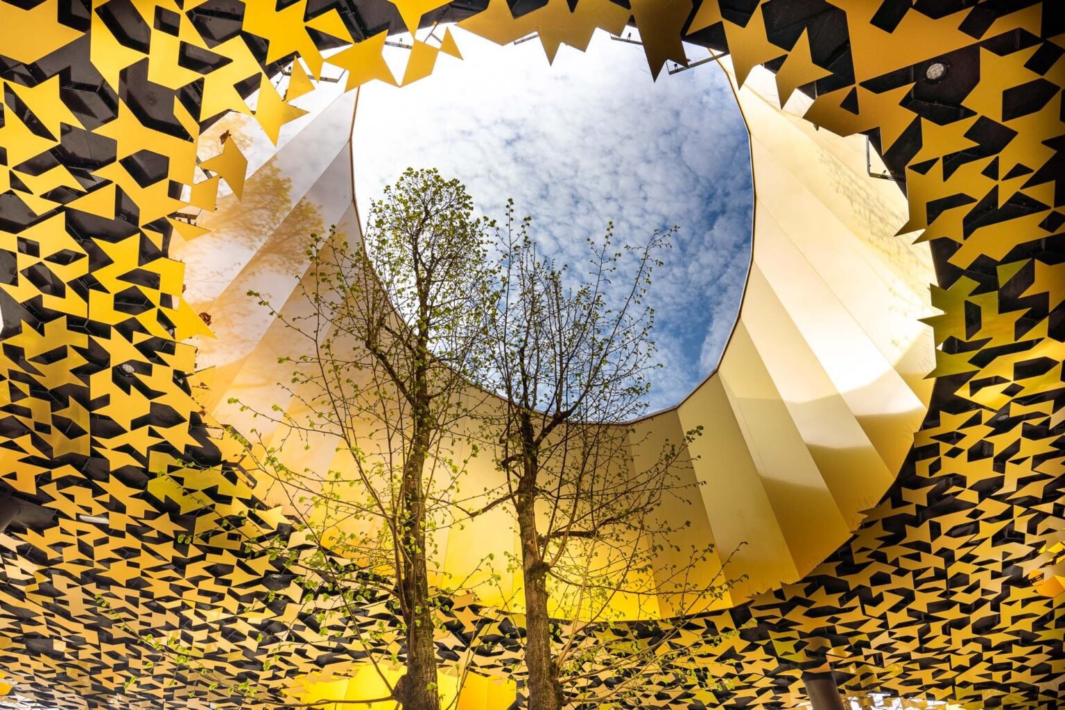 House of Music, Budapest. Tree growing through gap in ceiling. Bristol Architecture photographer